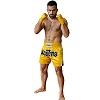 FIGHT-FIT - Muay Thai Shorts / Gelb / Large