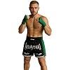 FIGHTERS - Thaibox Shorts / Elite Muay Thai / Schwarz-Grün / XL
