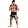 FIGHTERS - Thaibox Shorts / Elite Pro Fighters / Schwarz-Rot / Large