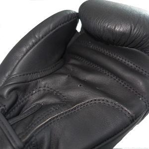 BEAST - Boxhandschuhe / Shadow / Schwarz / 10 oz