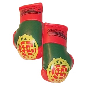 FIGHT-FIT - Mini Boxing Gloves / Portugal