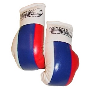 FIGHT-FIT - Mini Boxhandschuhe / Serbien