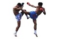 Muay Thai Shop.ch - Online Shop für Thaiboxer